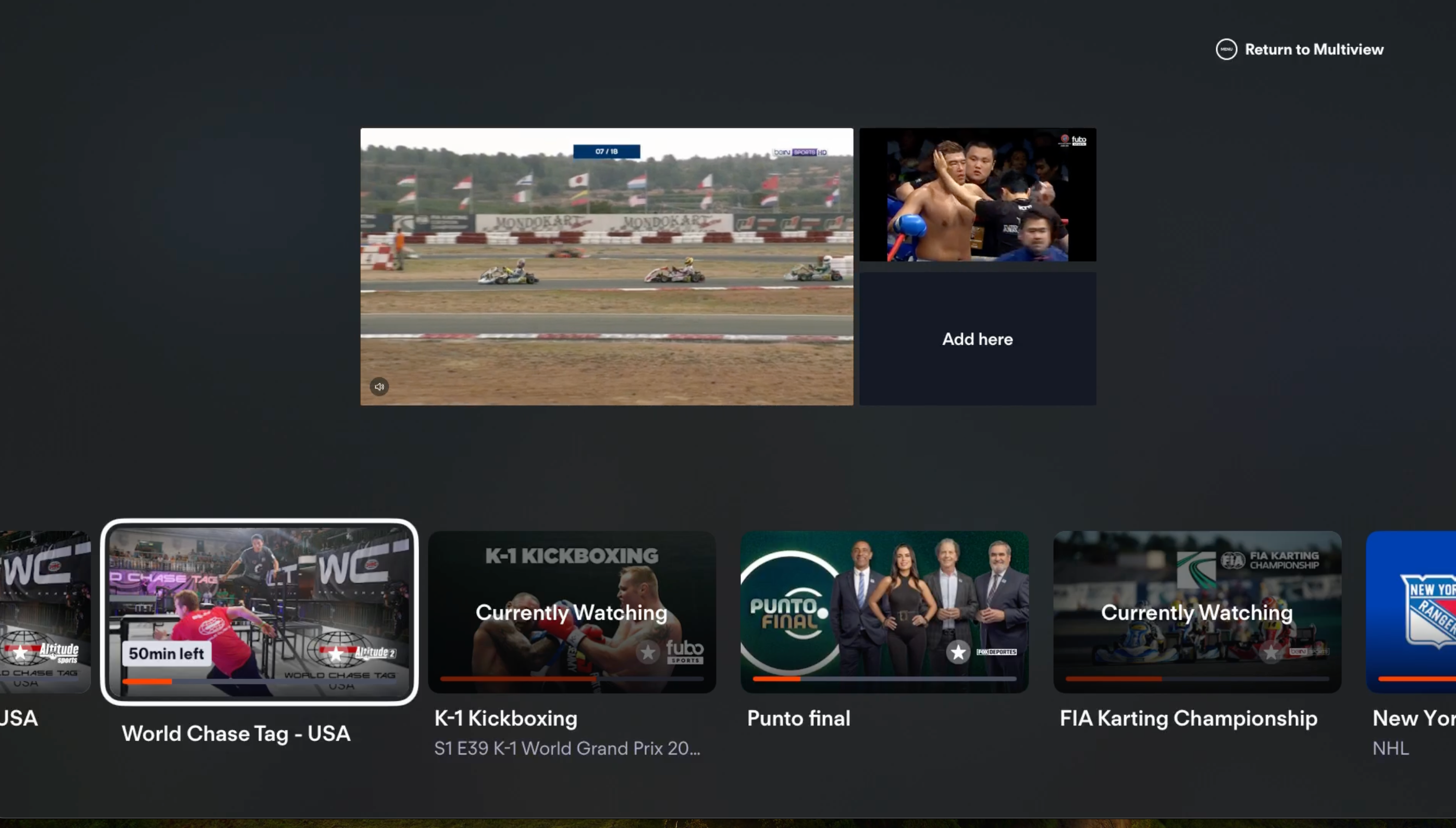 Browing available programming to add another view to Multiview