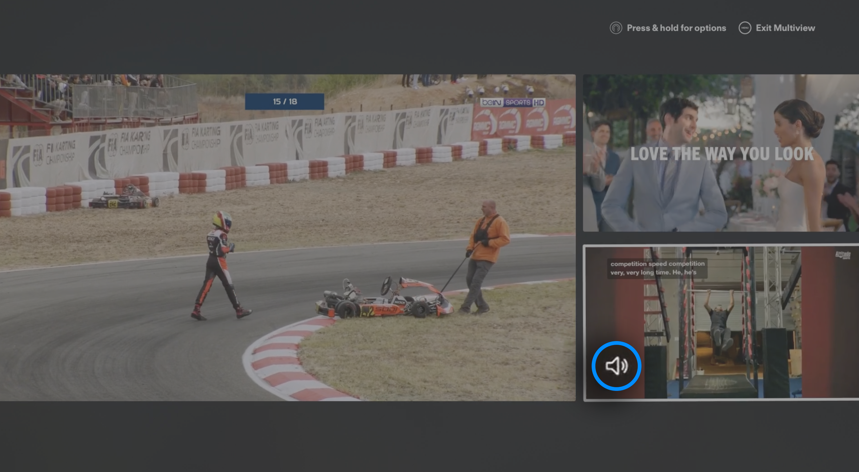 The audio icon will show in the lower left of the highlighted view in Multiview