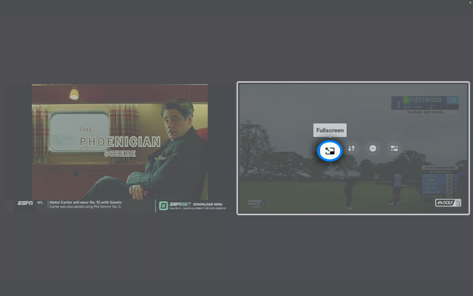 Fullscreen icon for a program viewed in Multiview