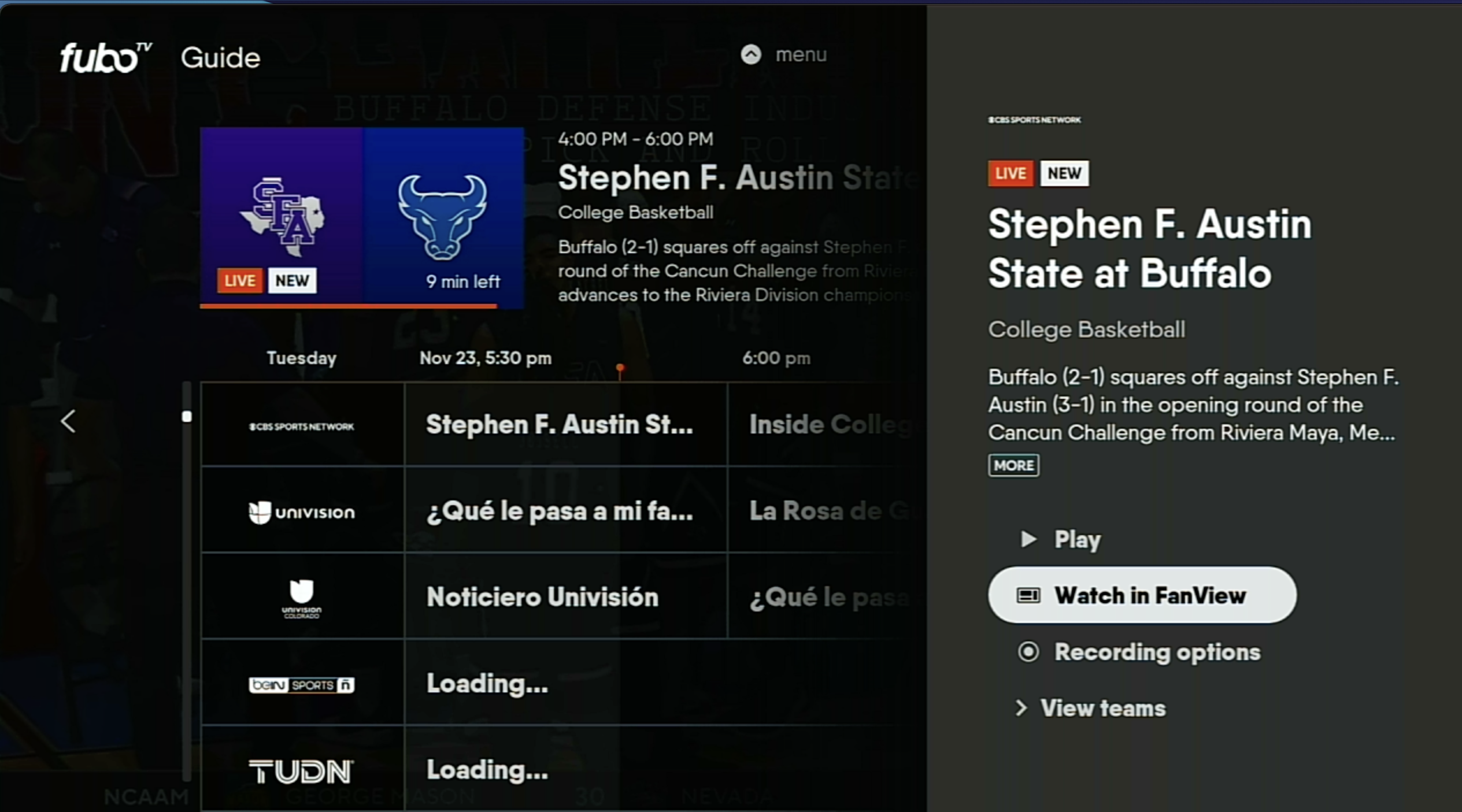 Program information screen for the FuboTV app on Roku with WATCH IN FANVIEW highlighted